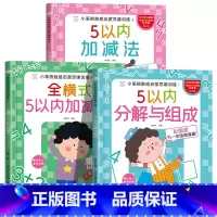 全套3册 [正版]5以内加减法练习册分解与组成 五以内的幼小衔接应用题口算题卡卡片教具幼儿园口算天天练数学幼儿加法减法计
