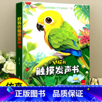 [早教⭐一本搞定]好玩的触摸发声书 [正版]好玩的触摸发声书婴儿早教点读宝宝认知绘本0到3岁益智发生书会发声的立体3d会
