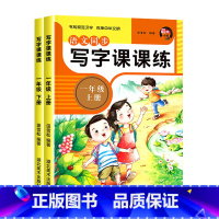 一年级上下册 [正版]一年级二年级小学生练字帖三四五六七八字帖上册下册每日一练天天练写字课课练语文同步描红人教版练习硬笔