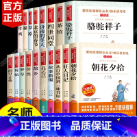 [全套18册]鲁迅作品全集+老舍作品全集 [正版]全套18册鲁迅经典作品全集原著 老舍散文集精选作品 朝花夕拾狂人日记故