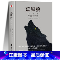 黑塞·赫尔曼经典4册 [正版]荒原狼无删减完整版 赫尔曼黑塞著 诺贝尔文学奖得主 治愈社恐内的焦虑 克服社交恐惧 现当代