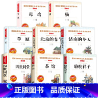 [全套8册]老舍经典作品全集 [正版]全套3册老舍经典作品全集 骆驼祥子原著四世同堂茶馆中小学生课外阅读书籍四五六年级七