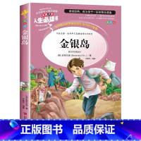 金银岛 [正版]金银岛 书 原著 史蒂文森 世界经典名著 小学生三四五六年级必读课外阅读书籍故事人民青少年儿童版文学读物