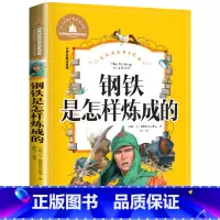 [彩图注音版]钢铁是怎样炼成的 [正版]钢铁是怎样炼成的 小学生彩图注音版 世界经典儿童文学小说名著 6-12周岁少儿读