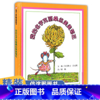 我的名字克丽丝美美菊花 [正版]精装硬壳 我的名字克丽桑丝美美菊花儿童绘本2-3-4-5-6岁幼儿园老师小中大班亲子阅读