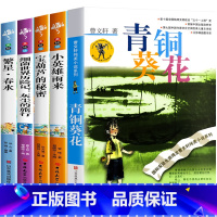 [完整版]青铜葵花+繁星春水+宝葫芦的秘密+小英雄雨来+细菌世界历险记 [正版]小英雄雨来六年级上册必读的完整版三四年级