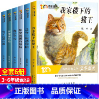 6册套装 [正版]6册 冰心奖获奖作家精品书系我家楼下的猫王魔法学校小学生三四五六年级必读课外阅读书籍文学儿童读物8-1