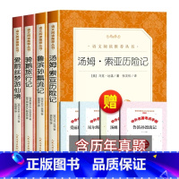 [赠考点]鲁滨孙+骑鹅+爱丽丝+汤姆[全4册] [正版]鲁滨逊漂流记人民文学出版社原著全译本完整版无删减鲁滨孙飘流记小学