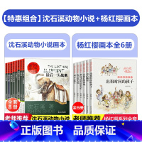 [全14册]沈石溪动物小说+杨红樱画本 [正版]沈石溪动物小说全集套装画本第一辑8册的书大全系列儿童文学 后一头战象小学
