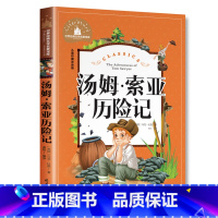 [彩图注音版]汤姆索亚历险记 [正版]汤姆索亚历险记 马克吐温著 彩图小学生课外阅读书籍二年级三年级必读儿童读物6-7-