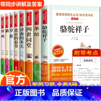 [全套8册]老舍经典作品全集 [正版]老舍经典作品全集8册 骆驼祥子原著 茶馆四世同堂 猫草原北京的春节小学生读本三四五