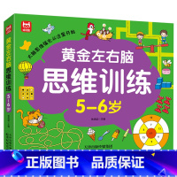 黄金左右脑思维训练5-6岁 [正版]5-6岁儿童全脑开发思维逻辑训练书 左右脑智力大开发游戏书幼儿园早教书奥数启蒙思维训