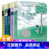 全套5册 长青藤国际大奖小说 [正版]长青藤国际大奖小说系列书系全套5册 十二岁的旅程 十岁那年 你那样勇敢 追梦的孩子