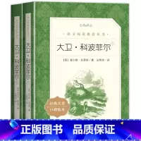 语文阅读推荐丛书:大卫.科波菲尔(全2册) [正版]大卫科波菲尔全套2册 查尔斯狄更斯 著人民文学出版社 书籍高中生版高