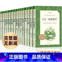 [全15册]高中必读经典书目 [正版]高中生阅读全套15册人民文学出版社高一高二高三红楼梦老人与海巴黎圣母院堂吉诃德泰戈