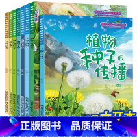 奇妙大自然科普启蒙绘本 第一辑 [正版]儿童绘本0-1-2-5到4岁阅读幼儿园幼儿早教启蒙读物科普故事书中班宝宝绘本3一