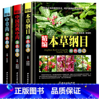 [正版]彩色图解精编中草药书籍精编中草药原色图谱+精编中国药典中药+精编本草纲目全套3册中医古籍出版社中医养生书籍原著