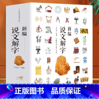 [正版]大厚本 新编说文解字 中小学生汉字启蒙有故事的魔法汉字真好玩常用的汉字认字1600字书国学古典名著画说汉字研究