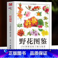 野花图鉴 [正版]野花图鉴 179种野花的了解与鉴赏 野外常见花卉园林植物识别图鉴 植物图鉴百科全书 花卉养殖生长习性科