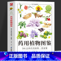 药用植物图鉴 [正版]药用植物图鉴 280余种药用植物一看就懂 野外中草药识别与应用图鉴大全 草药图鉴百科全书药用植物辨