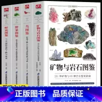 [正版]4册 矿物与岩石图鉴 231种矿物与65种岩石鉴别指南 鸟图鉴 野菜图鉴野花图鉴 收藏爱好者鉴别指南自然科学读