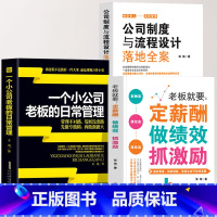 [正版]3册 一个小公司老板的日常管理+公司制度与流程设计落地全案+老板就要定薪酬做绩效抓激励书籍 创业经营百科团队薪