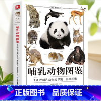 [正版]哺乳动物图鉴科普 400多幅精美的哺乳动物图片 文字简洁 高清晰度彩色图片具有很高的欣赏价值自然观察日记博物大