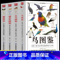 4册 鸟图鉴+名犬图鉴+观赏鱼图鉴+蝴蝶图鉴 [正版]4册 鸟图鉴 名犬图鉴 观赏鱼图鉴 蝴蝶图鉴鸟类观察手册 世界鸟类