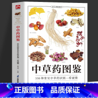 中草药图鉴 [正版]中草药图鉴 330种常见中草药识别一看就懂 中草药全图鉴彩图大全书 药用植物辨别图鉴食用宜忌 野外中