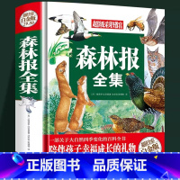 森林报全集 [正版]森林报全集 春夏秋冬书籍 大自然的语言四季的变化春夏秋冬百科全书 儿童文学故事书小学生三四五六年级课