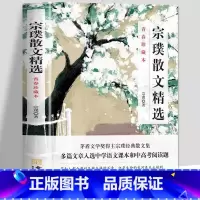 [正版] 宗璞散文精选小说选 矛盾文学奖作品紫藤萝瀑布丁香结现当代文学随笔集 青少年名家散文集精选文学书初中高中生课