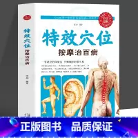 [正版]35元任选5本特效穴位按摩治百病特效穴位人体经络按摩书中医学穴位按摩书 养生大全中医推拿按摩书养生调理特效穴位