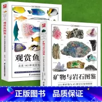 [正版]铜版纸全2册观赏鱼图鉴+矿物与岩石图鉴鱼缸观赏鱼养殖热带海水鱼淡水鱼冷习性辨认各种矿物与岩石自然科学收藏鉴赏岩