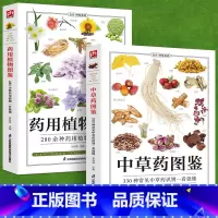 [正版]铜版纸全2册药用植物图鉴+中草药图鉴中草药野外识别图鉴中草药书入门医学书籍中医入门初学者常见中草药自学药学中药
