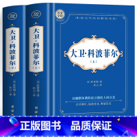 [全2册]大卫·科波菲尔 上+下 [正版] 大卫科波菲尔 上+下全2册 狄更斯原著中文全译本 世界经典文学名著 中小学生