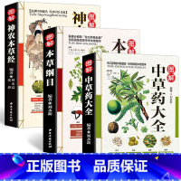 [正版]全3册 彩图全图全解中草药大全+本草纲目+神农本草经中医入门中草药材识别图鉴大全书籍药材植物彩图中药大全书中药