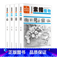 [正版]从零起步学素描4本套画画素描书从入门到精通零起步基础教程静物植物动物人物风景铅笔手绘速写绘画画册成人起步美术科
