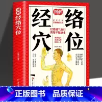 [正版] 图解经络穴位 人体经络穴位按摩大全书 人体高清全身穴位指示 保健推拿穴位中医养生书籍大全推拿按摩书籍手法推拿