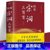 [正版]图解宋词三百首 原文注释赏析中国古诗词宋词鉴赏词典无障碍阅读中小学生青少年版国学经典唐诗宋词元曲文学书籍 宋代