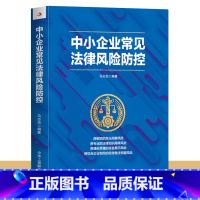 [正版]中小企业常见法律风险防控 企业管理风险防控法律书籍 法律常识一本全 民间企业融资公司风险投资追索债权常见法律风