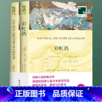 (中文版+英文版)全2册 彩虹鸽 [正版]2册 彩虹鸽英文原版+中文译本 纽伯瑞儿童文学金奖小说 中英双语版书籍动物小说