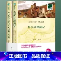 (中文版+英文版)全2册 鲁滨孙漂流记 [正版]全2册 鲁滨孙漂流记英文版+中文译本 外国小说中英双语世界名著阅读 中小