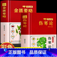 [2册]伤寒论+金匮要略 [正版]2册 彩色图解伤寒论+金匮要略 中医临床应用伤寒论解说 医学古籍辨证论治医学伤寒杂病论