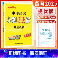 [备考2025]中考语文(阅读理解) 初中通用 [正版]2025新版恩波教育中考小题狂做提优版语文数学英语物理化学语言文