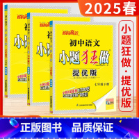 7下[提优版]语数英 3本 (人/苏/译林-江苏适用) [正版]江苏版2025春24秋季初中小题狂做巅峰版提优版七年级上