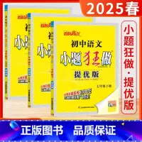 7下[提优版]语数英 3本 (人/苏/译林-江苏适用) [正版]江苏版2025春24秋季初中小题狂做巅峰版提优版七年级上