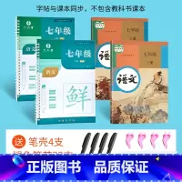 七年级上下册送褪色笔芯(非24秋季最新版同步) 初中通用 [正版]六品堂七八九年级语文课文同步凹槽字帖初中生正楷练字帖练