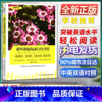 [正版]美丽英文那些激励我前行的身影阅读能力词汇强化语法巩固短语训练与美国人同步阅读的英语丛书快速突破英语水平轻松阅读