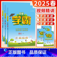 [2025春-学霸]语文+数学+英语 (2下3本-江苏适用) 小学二年级 [正版]2025春24秋小学5星学霸大试卷作业