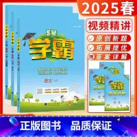 [2025春-学霸]语文+数学+英语 (2下3本-江苏适用) 小学二年级 [正版]2025春24秋小学5星学霸大试卷作业